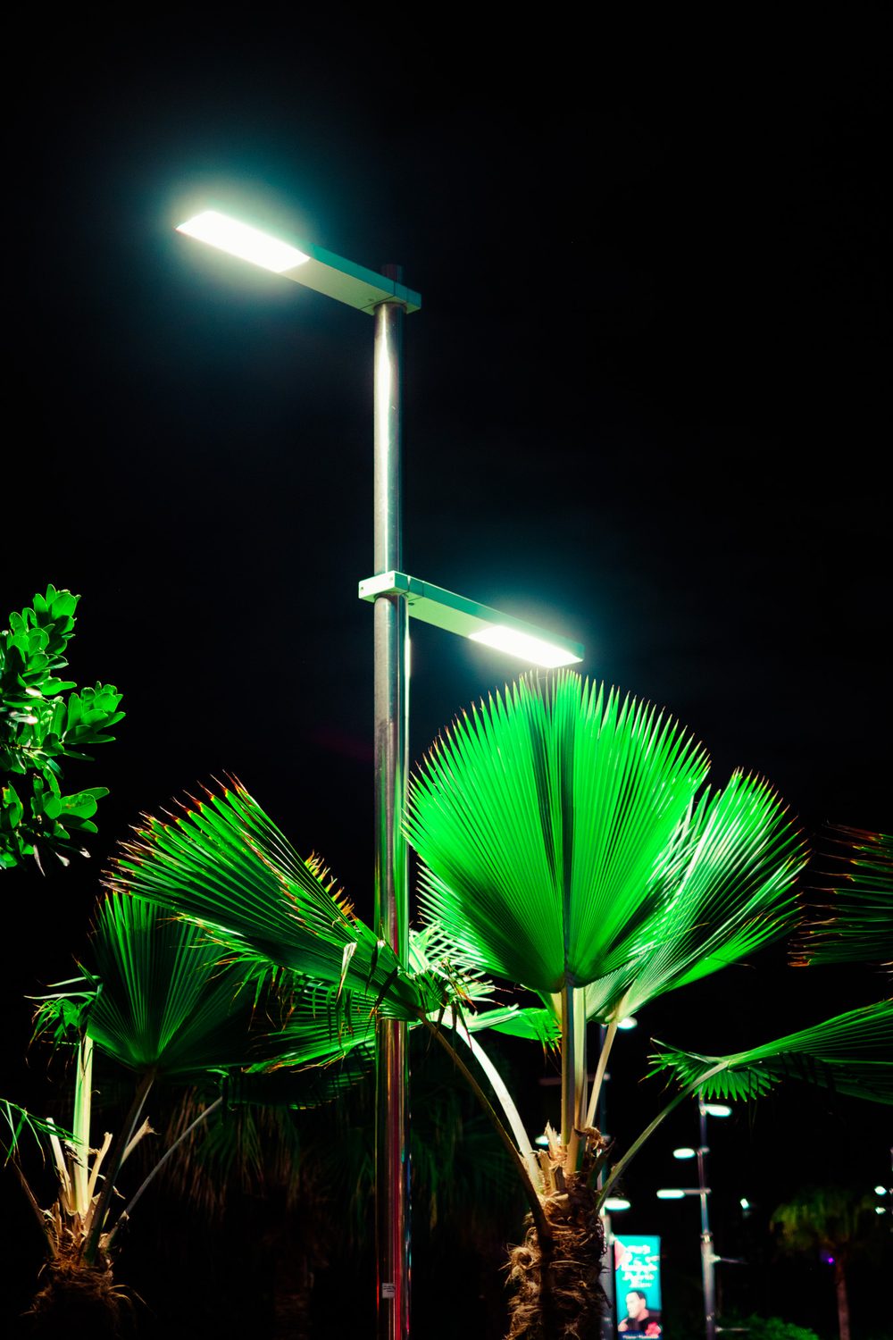 photograph of puerto rico, san juan in Puerto Rico, San Juan, by Stuart Singleton