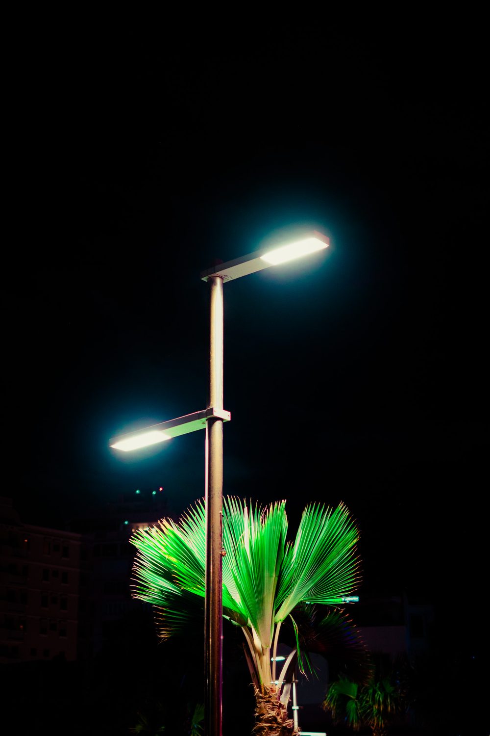 photograph of puerto rico, san juan in Puerto Rico, San Juan, by Stuart Singleton