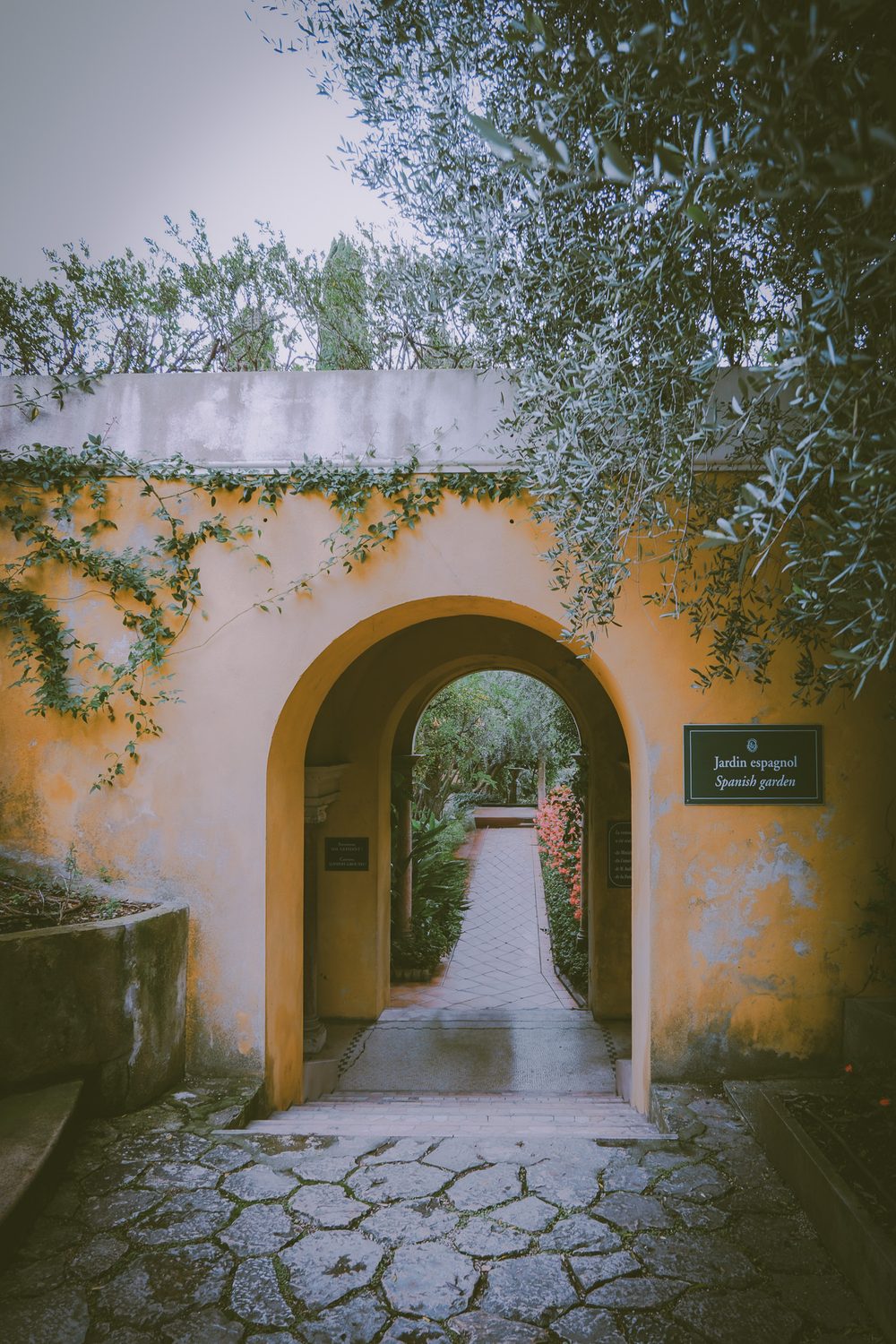 photograph of europe, saint-jean-cap-ferrat, plants in France, by Stuart Singleton