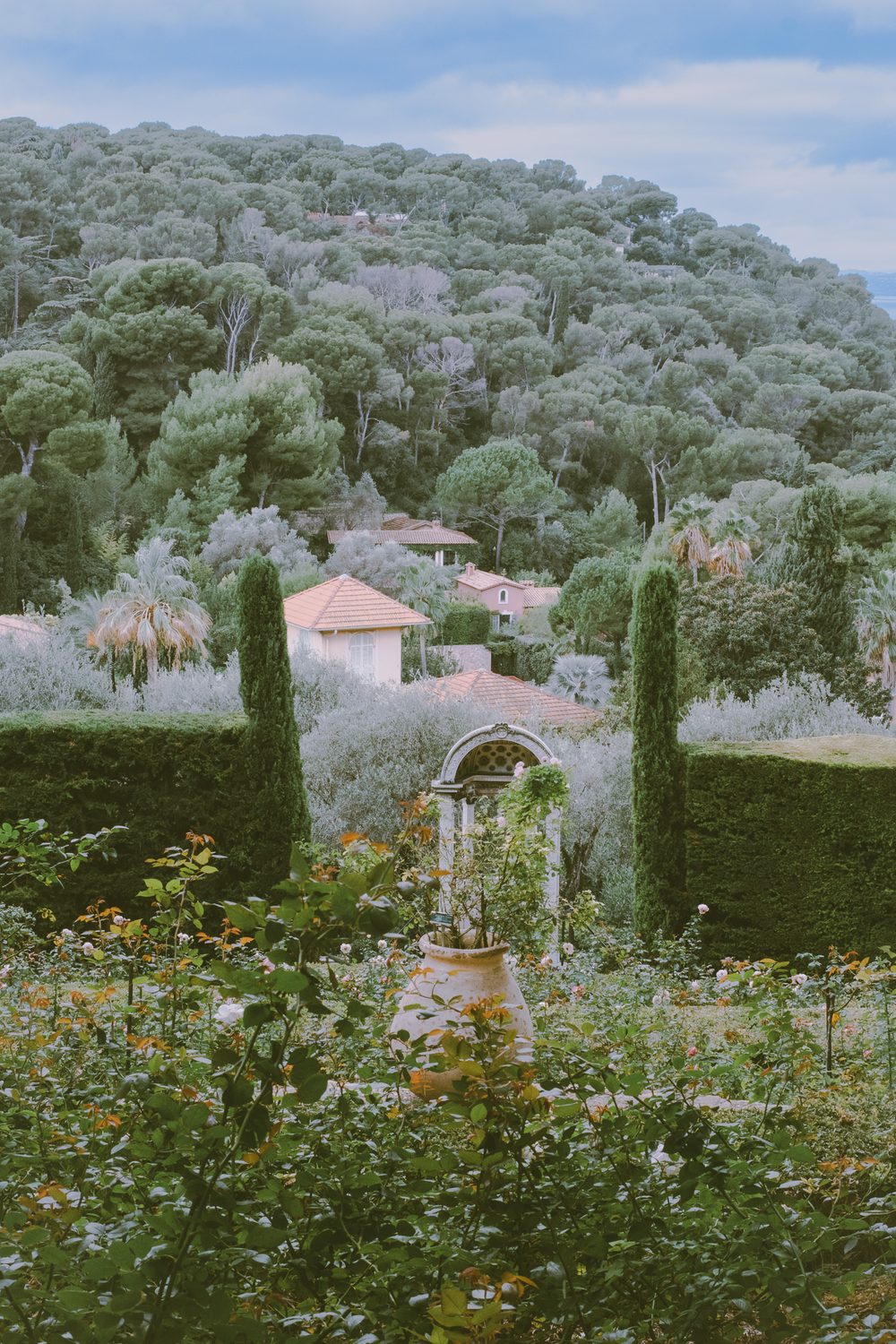 photograph of europe, saint-jean-cap-ferrat, plants in France, by Stuart Singleton