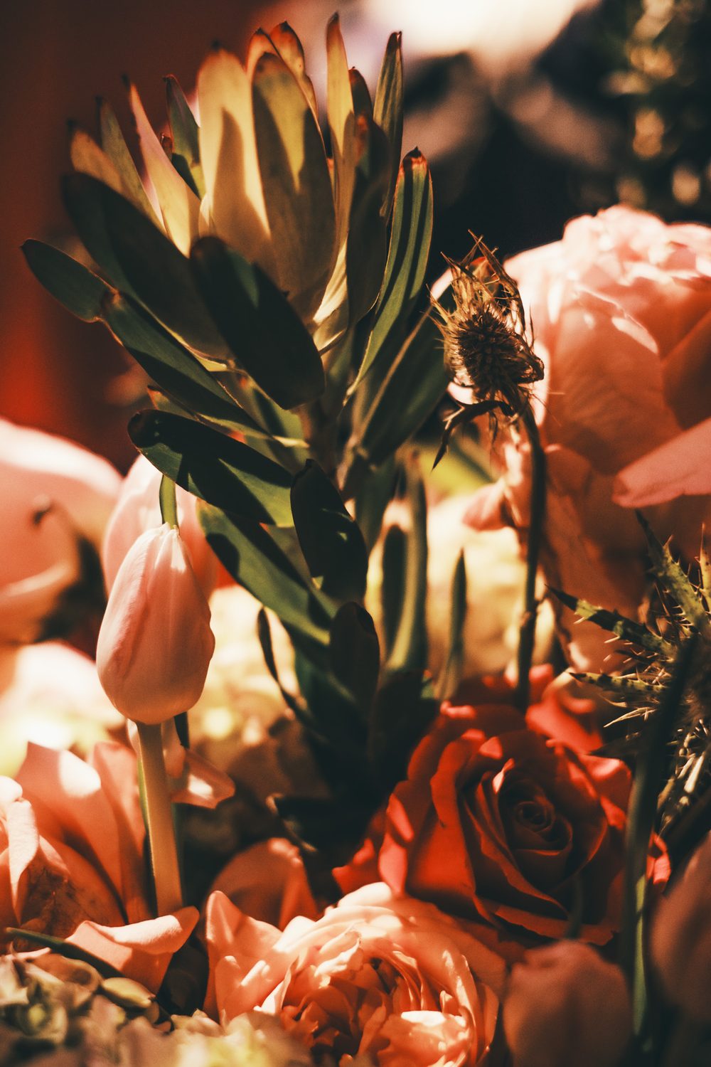 photograph of flowers, plants, by Stuart Singleton