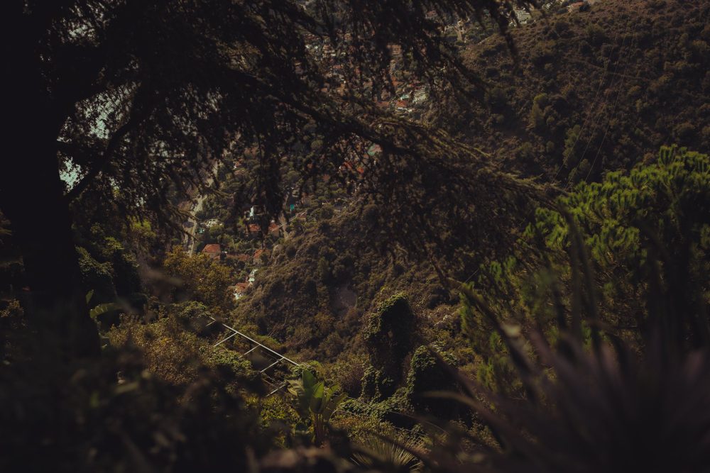 photograph of europe, eze, sky, trees, by Stuart Singleton