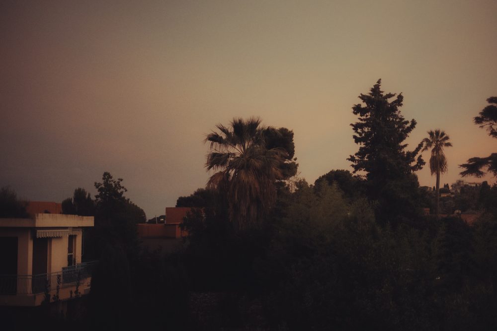 photograph of beaulieu, beaulieu-sur-mer, europe, trees in France, by Stuart Singleton