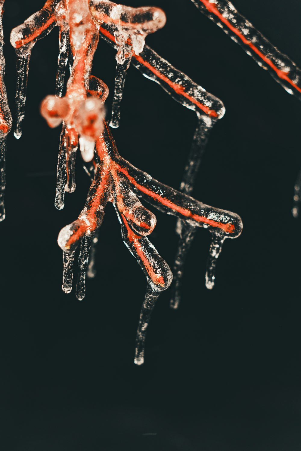 photograph of dark, snow in Nashville, by Stuart Singleton