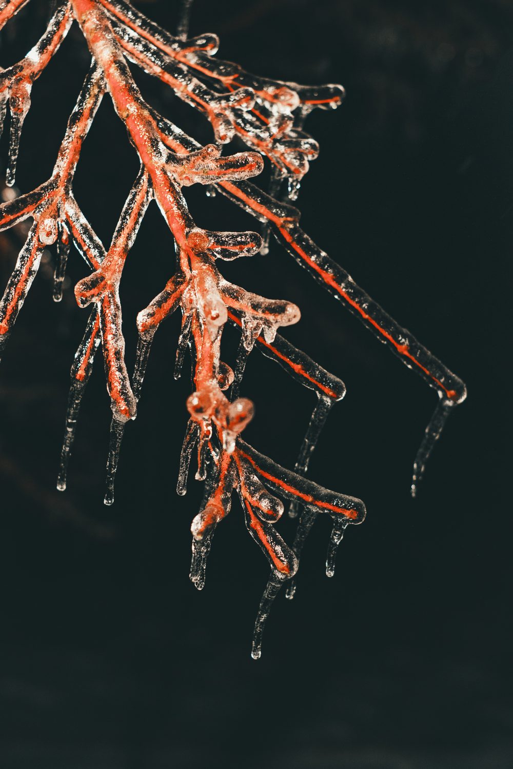 photograph of dark, snow in Nashville, by Stuart Singleton