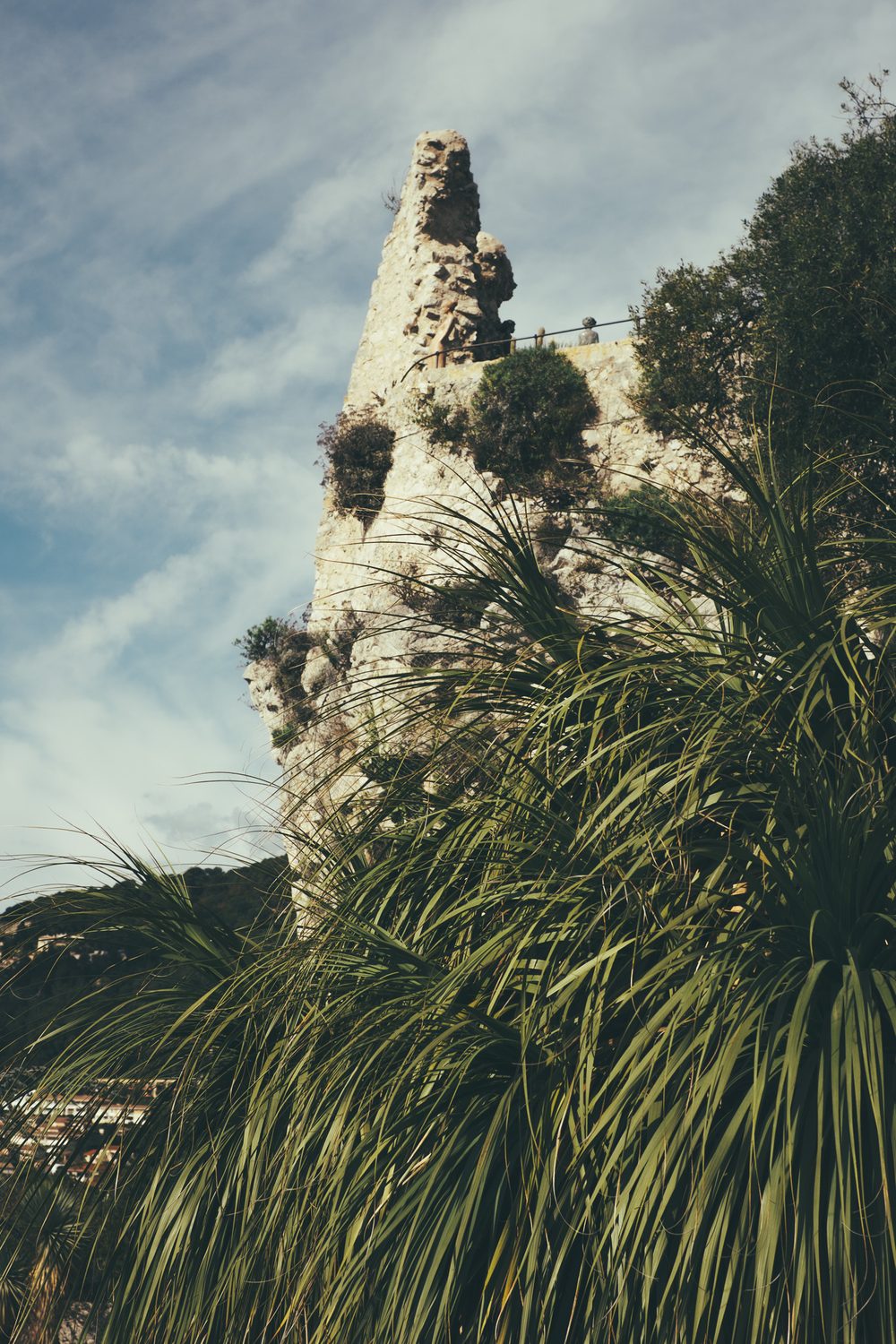 photograph of eze, europe, plants in France, by Stuart Singleton No. 2